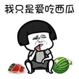 吃不吃娱乐圈的瓜